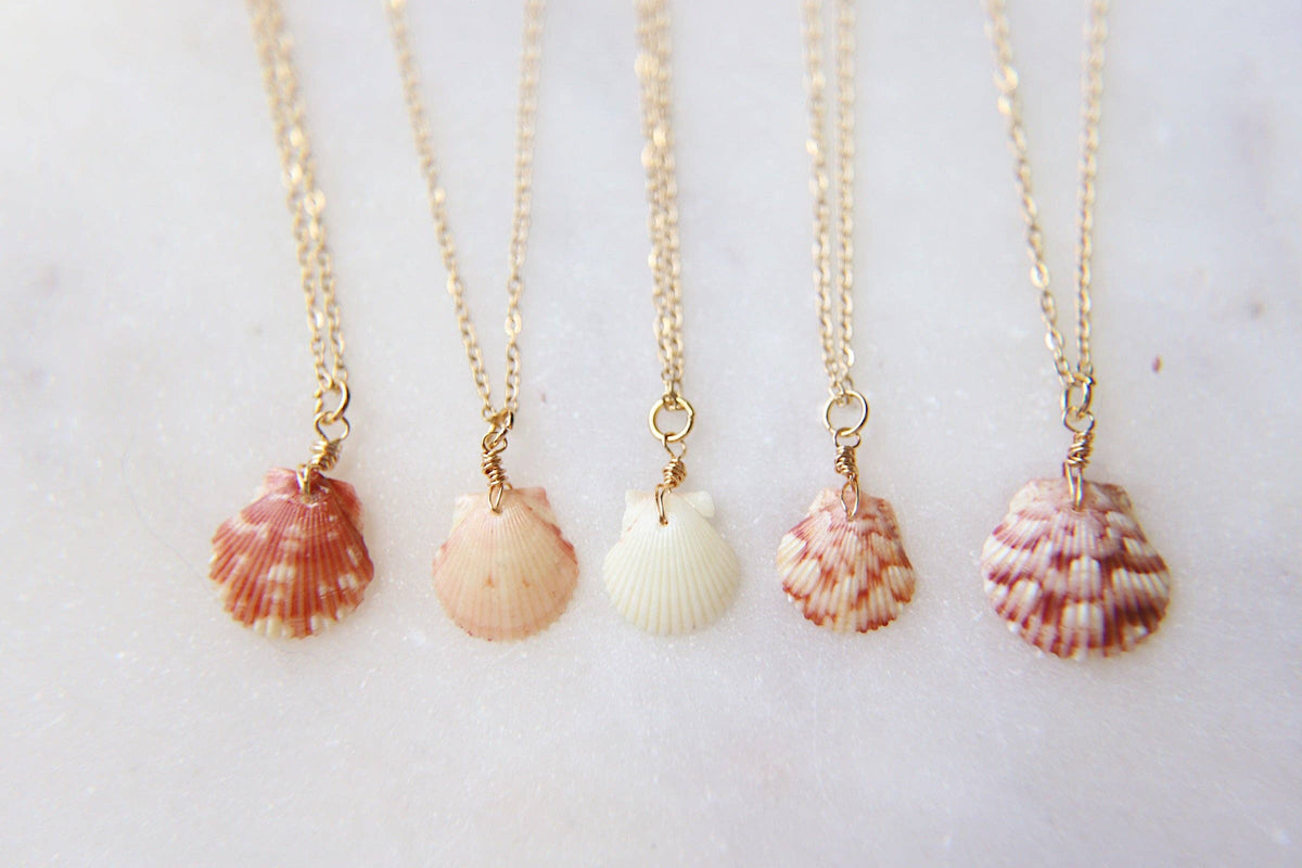 Seashell Necklace