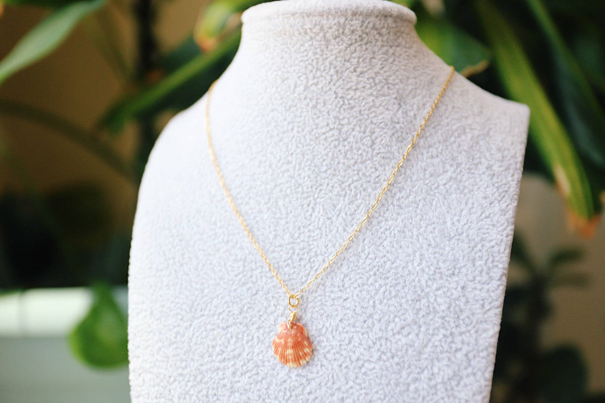 Seashell Necklace